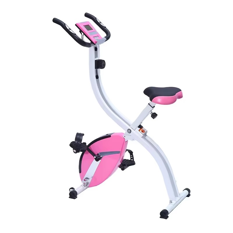 Health Wellness Home Care - Bicicletta stazionaria controllata magnetica - Biciclette