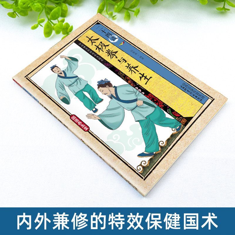 24 Stili di Tai Chi ed Eserciz - Health & Wellness Farmacia Inc recensione e prezzo